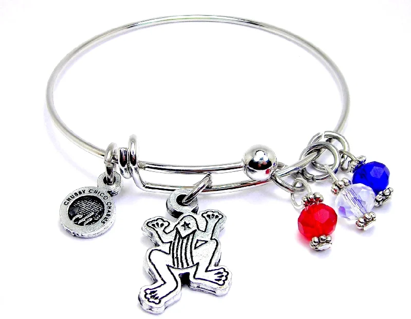 Coqui with Puerto Rican flag bangle Bracelet